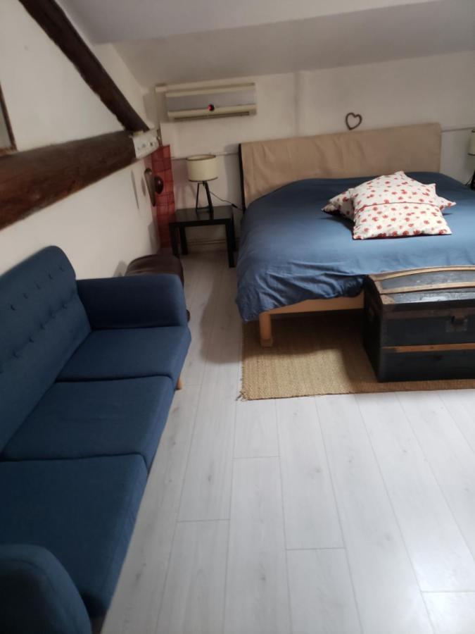 Chambre Dans Une Grande Maison Entre Canal Du Midi Et Centre Ville Béziers Eksteriør bilde